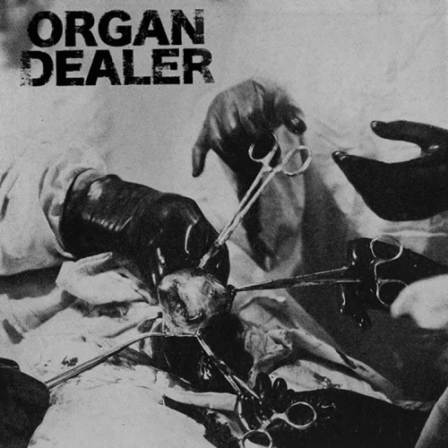 Organ Dealer : Demo Organ Dealer : Demo